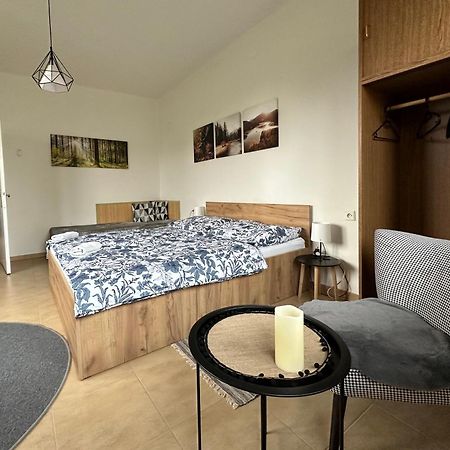 Apartman Aneta 诺夫梅斯托纳马瑞夫 外观 照片